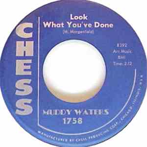 Muddy Waters - Look What You've Done / Love Affair download flac mp3