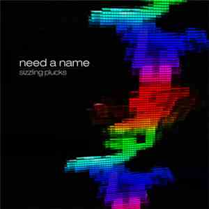 Need a Name - Sizzling Plucks download flac mp3