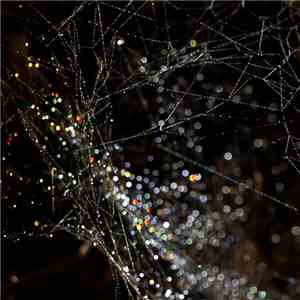 Oscar Patisson - Strings download flac mp3