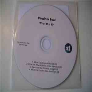 Random Soul - What It Is EP download flac mp3