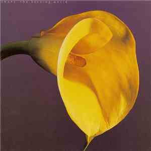 Swans - The Burning World download flac mp3