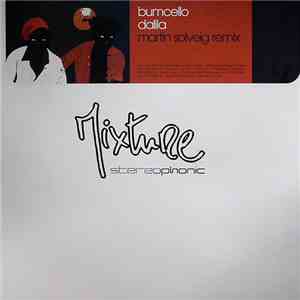 Bumcello - Dalila (Martin Solveig Remix) download flac mp3