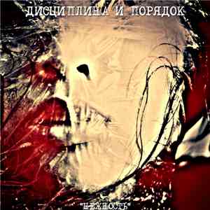 Дисциплина И Порядок - Нежность download flac mp3