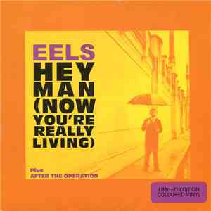 Eels - Hey Man (Now You're Really Living) download flac mp3