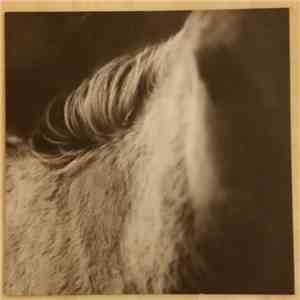 Les Discrets - Rue Octavio Mey / Fleur Des Murailles download flac mp3
