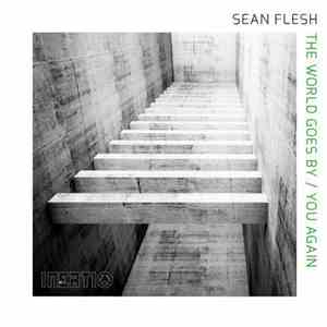Sean Flesh - The World Goes By download flac mp3