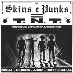 Various - Skins E Punks = T.N.T. download flac mp3