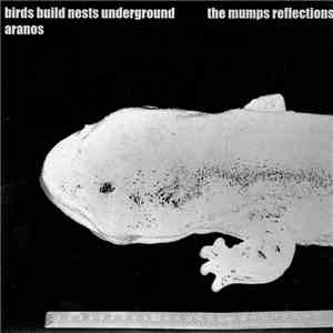 Birds Build Nests Underground & Aranos - The Mumps Reflections download flac mp3