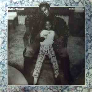 Bobby Womack - Understanding download flac mp3