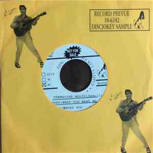 Elvis Presley - My Baby's Gone download flac mp3