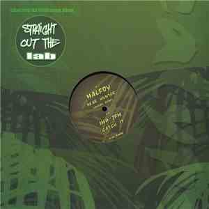 Malfoy, IMP  & JFM  - Bear Hunter (Jaydan Remix) / Catch It download flac mp3