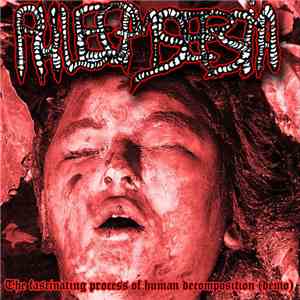 Phlegmsepsia - The Fascinating Process Of Human Decomposition (Demo) download flac mp3