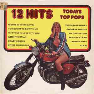 Unknown Artist - 12 Hits - Volume 4 download flac mp3