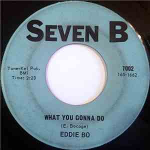 Eddie Bo - What You Gonna Do download flac mp3
