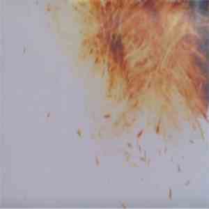 Flower Man - Another Ozone Hex download flac mp3