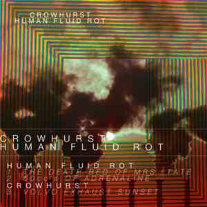 Human Fluid Rot / Crowhurst - Human Fluid Rot / Crowhurst Split download flac mp3