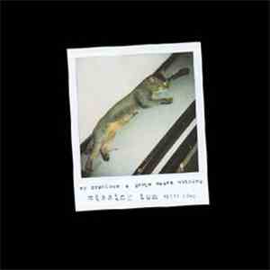 My Precious / Gauge Means Nothing - Missing Tom Split CDEP download flac mp3