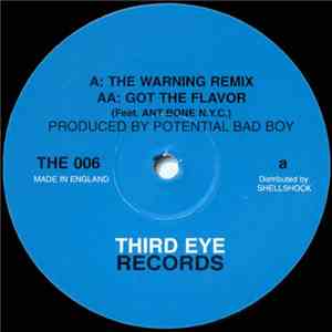 Potential Bad Boy - The Warning Remix / Got The Flavor download flac mp3