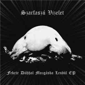 Szarfaszú Vizelet - Fekete Dühhal Mozgásba Lendül download flac mp3