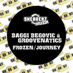Baggi Begovic & Groovenatics - Frozen / Journey download flac mp3
