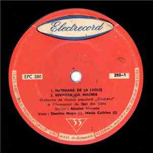Orchestra de muzică populară „Cindrelul“ a Filarmonicii de Stat din Sibiu Dirijor : Nicolae Irimescu - Hațegană Ca La Luduș download flac mp3