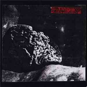 Tingis - Grey Matter download flac mp3