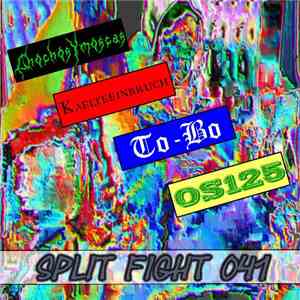 Chochos Y Moscas / Kaelteeinbruch / To-Bo / OS125 - Split Fight 041 download flac mp3