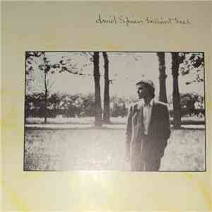 David Sylvian - Brilliant Trees download flac mp3