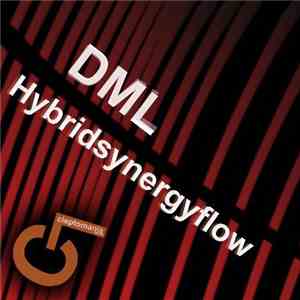 DML - Hybridsynergyflow download flac mp3