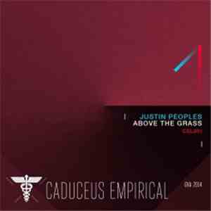 Justin Peoples - Above the Grass download flac mp3