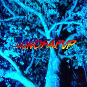Sonofapup - sɜrbərəs download flac mp3