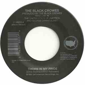 The Black Crowes - Thorn In My Pride download flac mp3