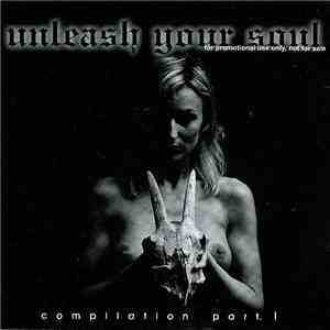 Various - Unleash Your Soul Compilation Volume 1. download flac mp3