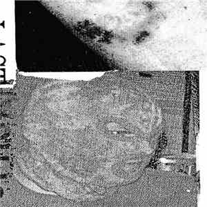 Last Rape / Bizarre Uproar - Collaboration download flac mp3