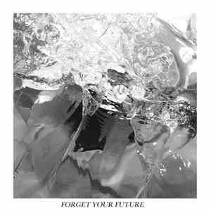 Negative Gemini - Forget Your Future download flac mp3