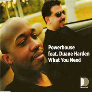 Powerhouse Feat. Duane Harden - What You Need download flac mp3