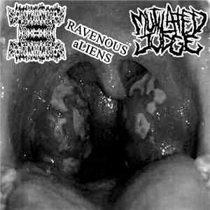 SxGxAxEx / Mutilated Judge / Ravenous Aliens - Ravenous Mutilated Erotomanists download flac mp3