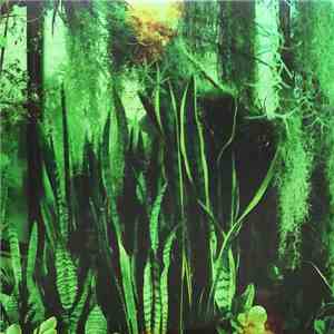 The Promise Ring - Wood/Water download flac mp3