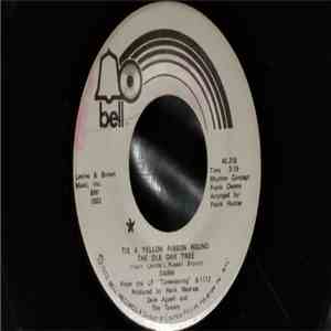 Dawn  - Tie A Yellow Ribbon Round The Ole Oak Tree / I Can't Believe How Much I Love You download flac mp3