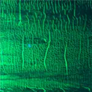 Donato Dozzy - K download flac mp3