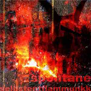 Dr. Walker - Spontane Selbstentflammunkk download flac mp3