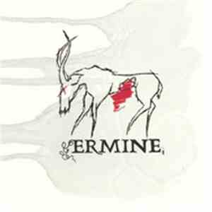 Ermine - The Murra download flac mp3