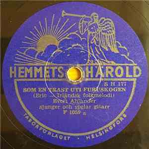 Evert Ahlander - Som En Trast Uti Furuskogen / Sackeus download flac mp3