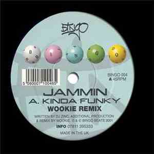 Jammin - Kinda Funky (Wookie Remix) download flac mp3