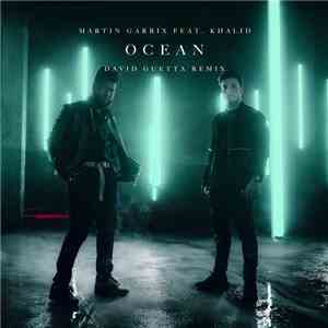 Martin Garrix Featuring Khalid  - Ocean (David Guetta Remix) download flac mp3