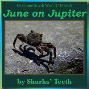 Sharks' Teeth - June On Jupiter download flac mp3
