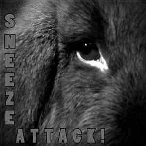 Sneeze Attack! - Aurora download flac mp3