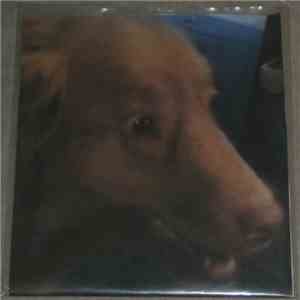 !azzip Dog Avatar - Dont Do This download flac mp3