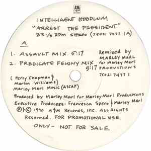 Intelligent Hoodlum - Arrest The President download flac mp3