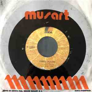 Los Bobby Soxers / Juan Piña Con La Revelacion - Cumbia Callejera / Los Calendarios download flac mp3